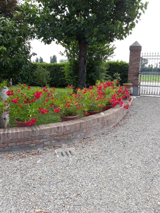 Bed and Breakfast Al Sit Ed Marino Castel Maggiore Zewnętrze zdjęcie